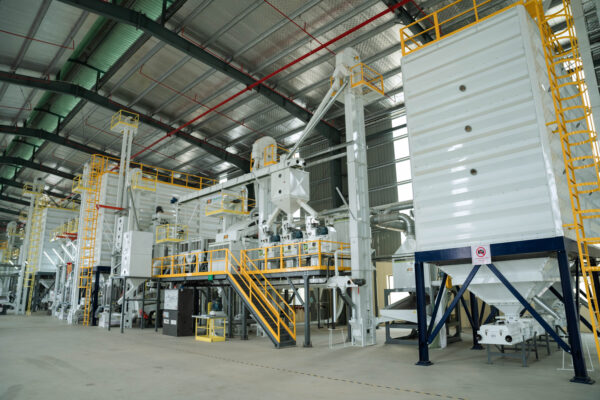 Liên hệ Tổng Kho Sỉ Gạo Thanh Hóa - Nguồn Sỉ Gạo Giá Tốt Nhất Thanh Hóa