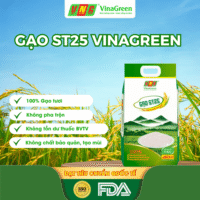 Gạo ST25 VinaGreen – Gạo ST25 Ngon Chính Hãng, Chuẩn Xuất Khẩu