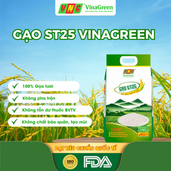 Gạo ST25 VinaGreen – Gạo ST25 Ngon Chính Hãng, Chuẩn Xuất Khẩu
