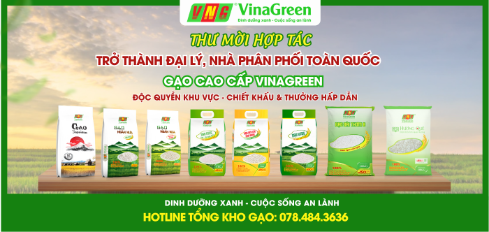 Tổng Kho Gạo - Kho Gạo Giá Sỉ Tận Gốc Nhà Máy VinaGreen