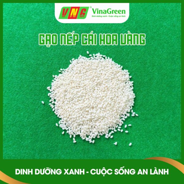 Hat-Gao-Nep-Cai-Hoa-Vang-Ngan-Nua-VinaGreen