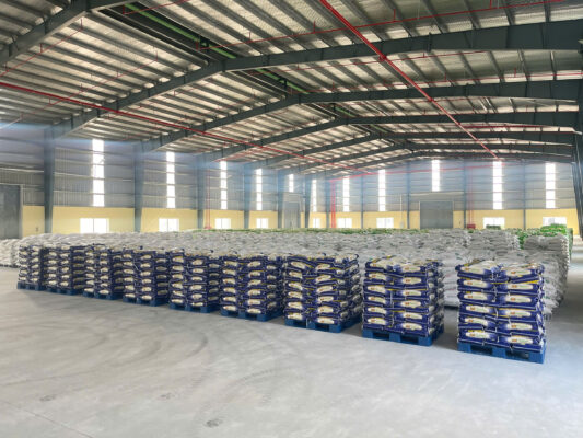 Nguồn sỉ gạo Khang Dân tại Thanh Hoá