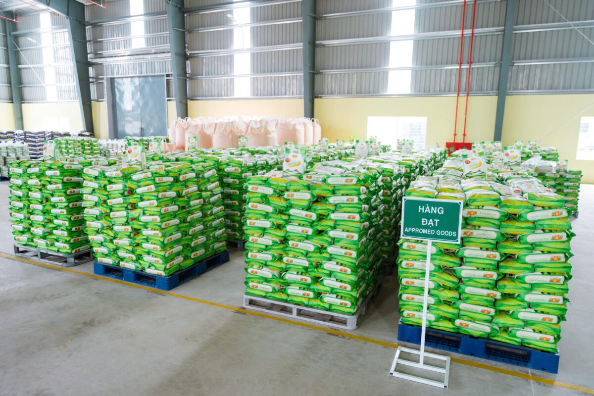 Nguồn Sỉ Gạo Trường Học Thanh Hóa